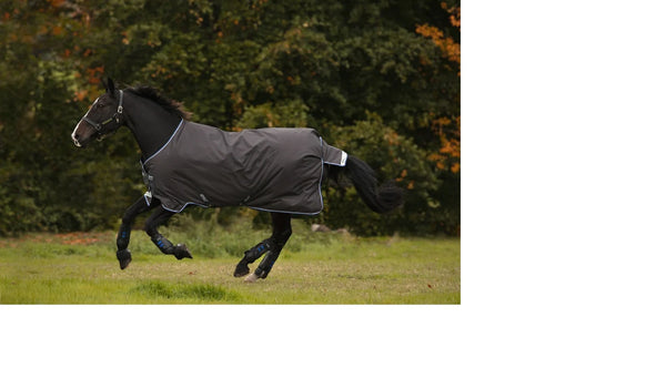 Amigo Bravo 12 Original - 100g