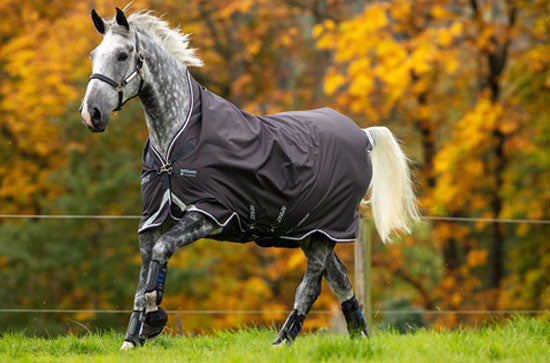 Amigo Bravo12 Wug 400g