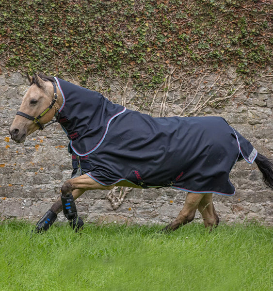 Amigo Bravo12 Pony Plus 0g