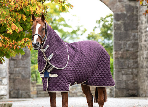 Amigo Quilted Stable Plus 200g