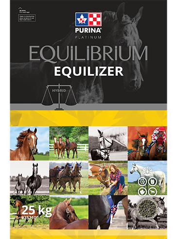 Equilibrium Equilizer - 25kg