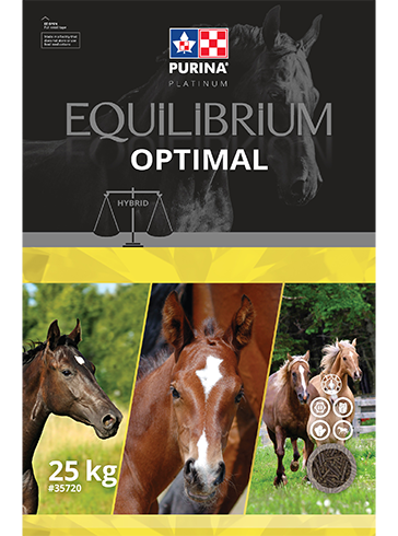 Equilibrium Optimal - 25kg