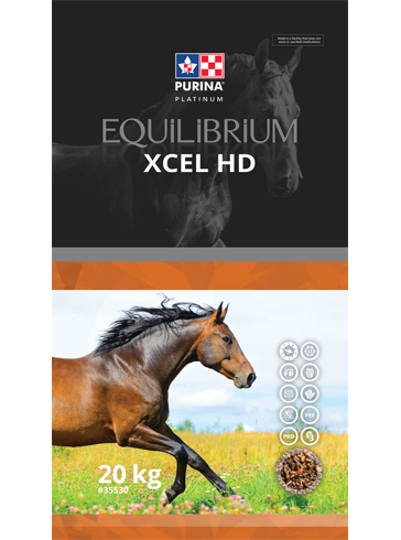 Equilibrium Xcel HD - 20kg