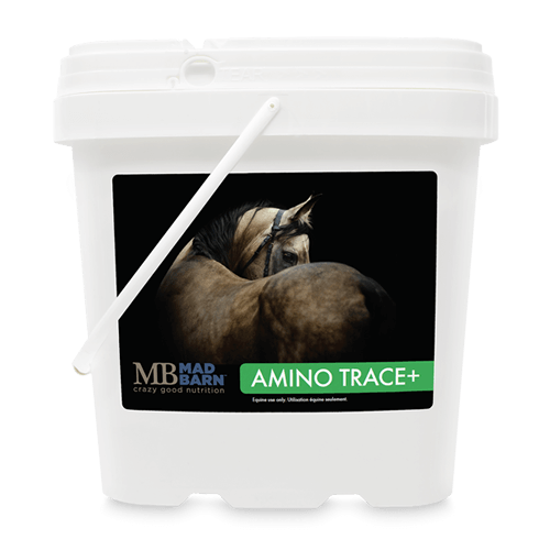 MB Amino Trace +