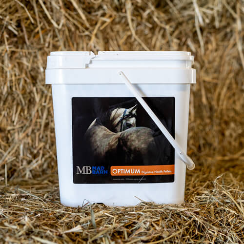 MB Optimum Digestive Health