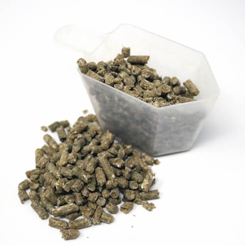 MB Optimum Digestive Health