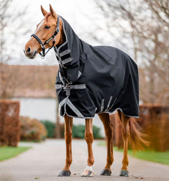 Amigo 1200D All in One Integrated Turnout 0g