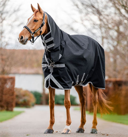 Amigo 1200D All in One Integrated Turnout 0g