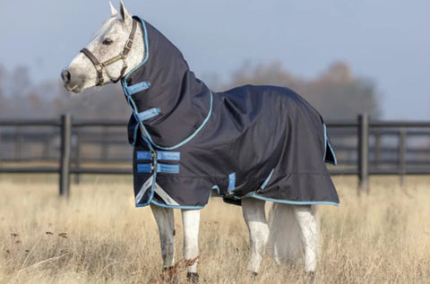 Amigo Bravo 12 Pony Plus 250g
