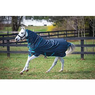 Amigo Pony Plus 50g