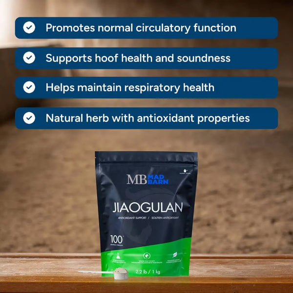 Jiaogulan - 1kg Pouch
