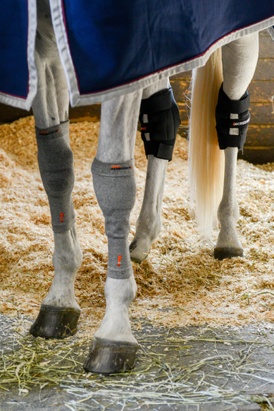 Incrediwear- Circulation Hoof Socks