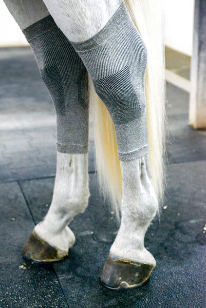 Incrediwear- Circulation Hoof Socks