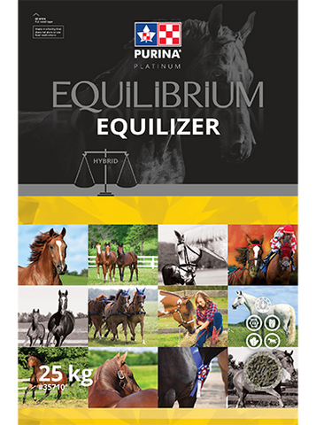Equilibrium Equilizer - 25kg